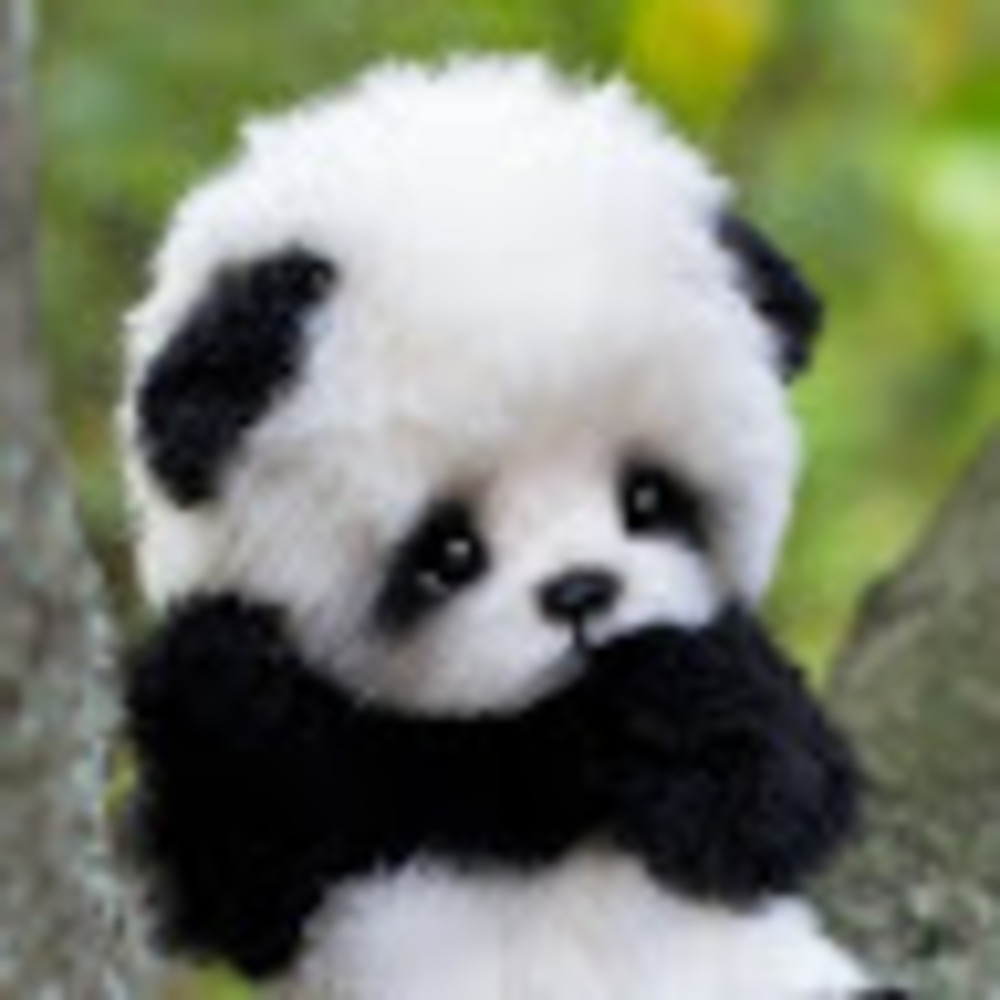 Meet your Posher, Ronnie